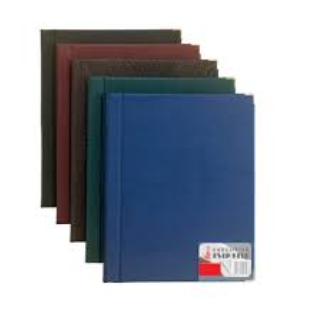 PENTA EXECUTIVE FILE A4 13PT BOOK ASST